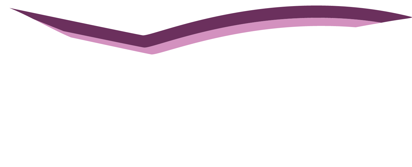 Leviatan Group